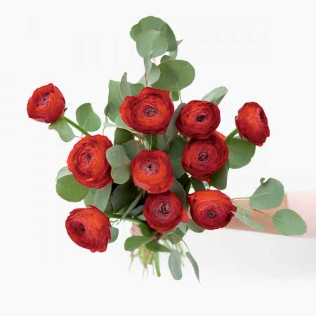 Fire Red Ranunculus Bouquet