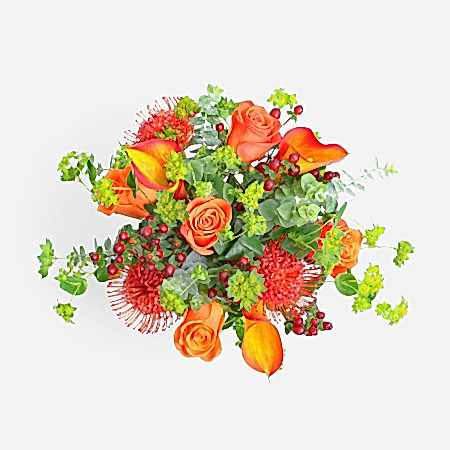 Orange Blaze