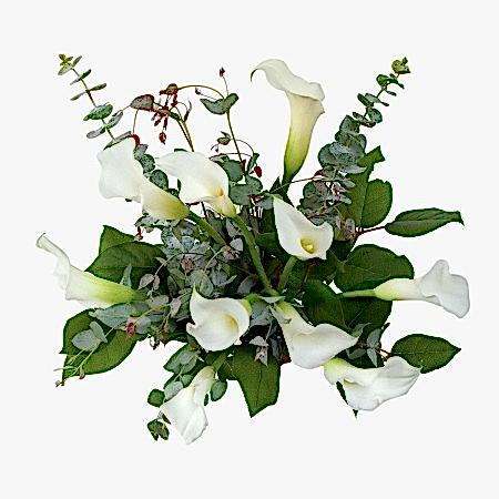 White Calla Lily Bouquet