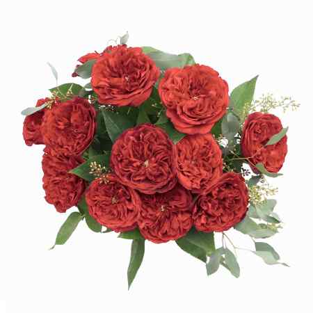 Red Garden Roses + Sydney Hale Candle