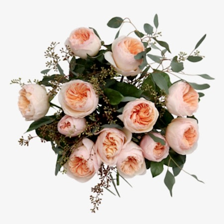 Blush Garden Roses + Sydney Hale Candle