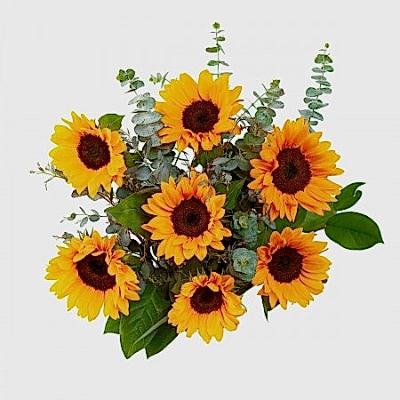 Sunflower Bouquet