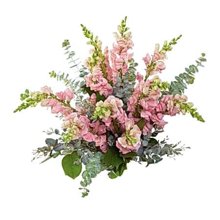 Pink Snapdragon Bouquet