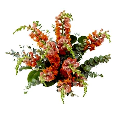 Orange Snapdragon Bouquet