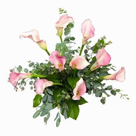 Soft Pink Calla Lily Bouquet