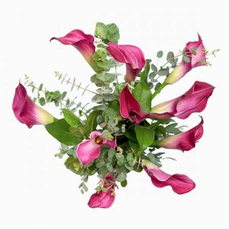 Dark Pink Calla Lily Bouquet 