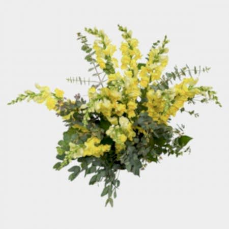 Yellow Snapdragon Bouquet