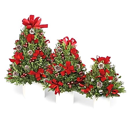 Mini Decorated Boxwood Tree