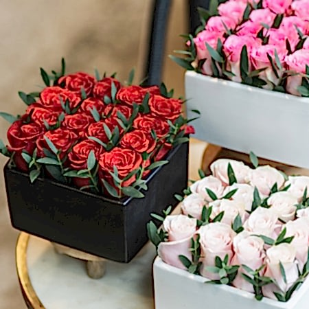 Red Rose Garden