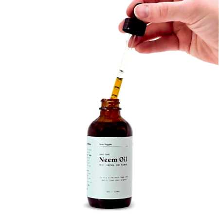 The Plant Supply Neem Oil