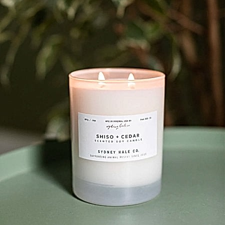 Sydney Hale Co. Shiso + Cedar Candle