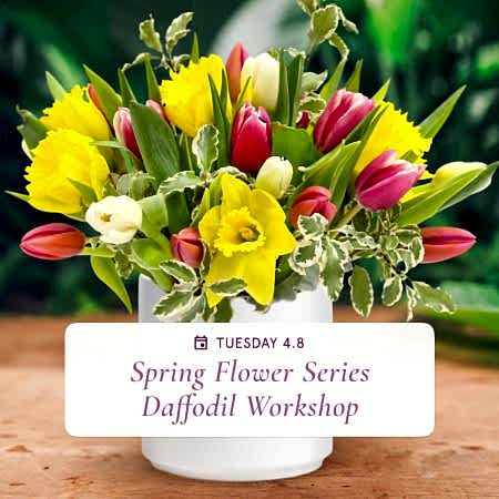Spring Flower Series: Daffodil Arrangements - Apr 8th