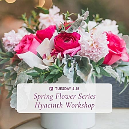 Spring Flower Series: Hyacinth Arrangements - Apr 15th
