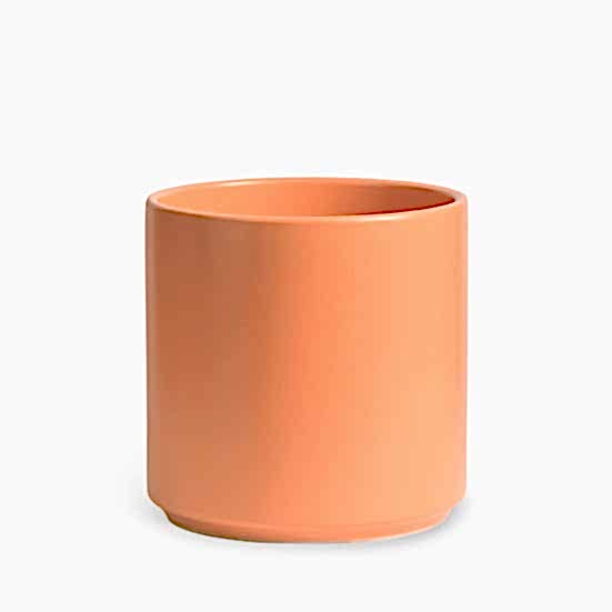 12'' Peach Cylinder Pottery