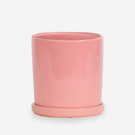 8'' Baby Pink Ceramic + Saucer Containers/Planters