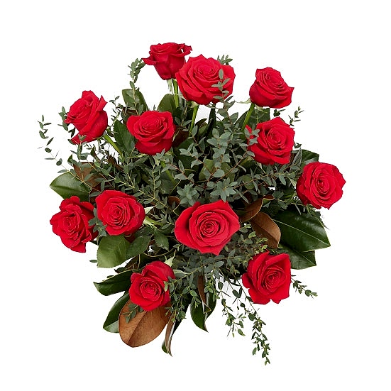 1-Dozen Elegant Roses + Sweetheart Plant Roses