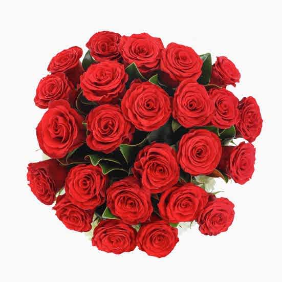 You Are Amazing! + COCO Five Bar Milk Collection Hydrangeas