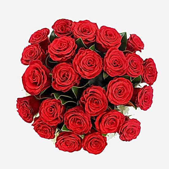 You Are Amazing! + COCO Five Bar Dark Collection Hydrangeas