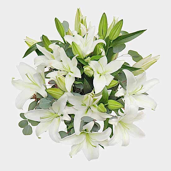 White Lilies Sympathy