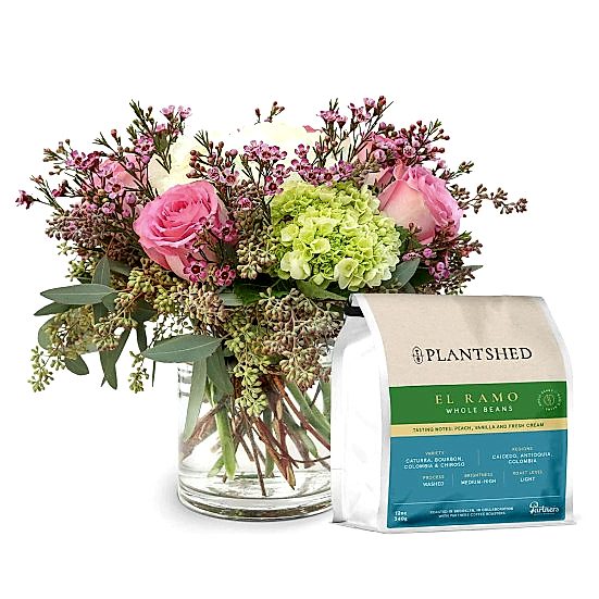 Tender Affection + PlantShed Coffee Lisianthus
