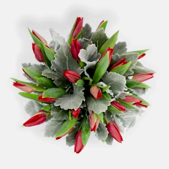 Forever Tulips + Apotheke Diffuser Specials