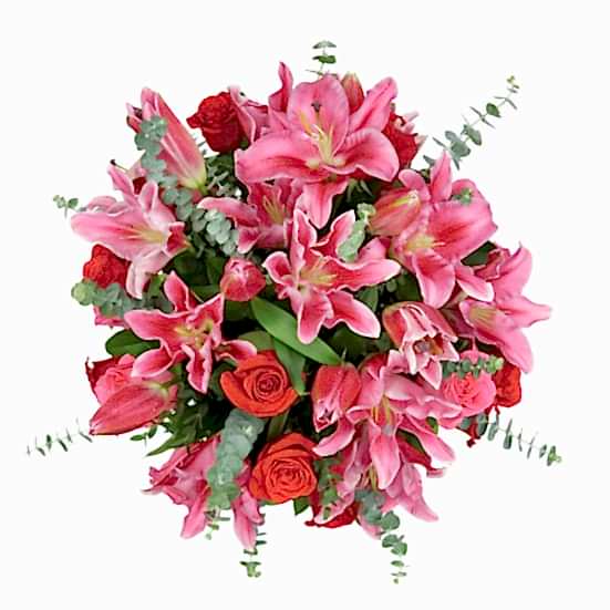 Truly Spectacular + Choco Lovers Gift Box Specials