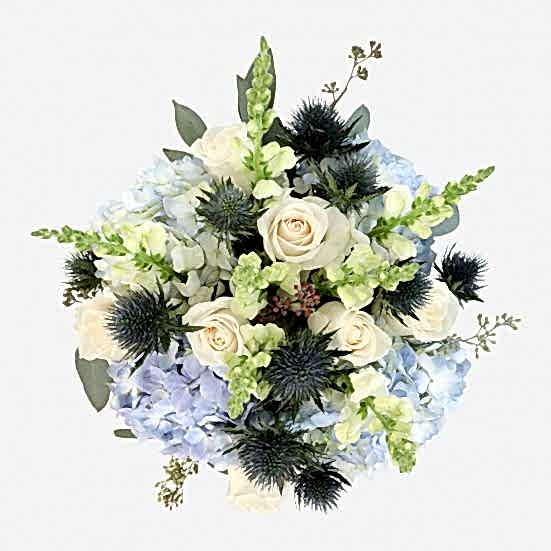 Azure Hydrangeas
