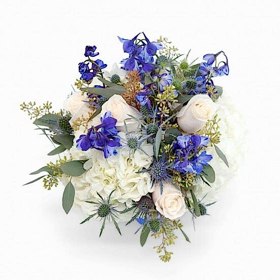 Cerulean Hydrangeas