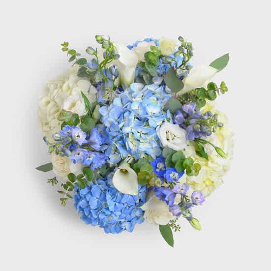 Sapphire Hydrangeas