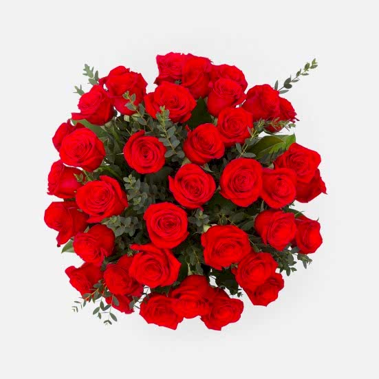 3-Dozen Elegant Roses Anniversary