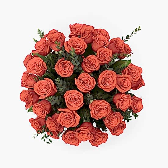 3-Dozen Elegant Roses + Sweetheart Plants Luxury Collection