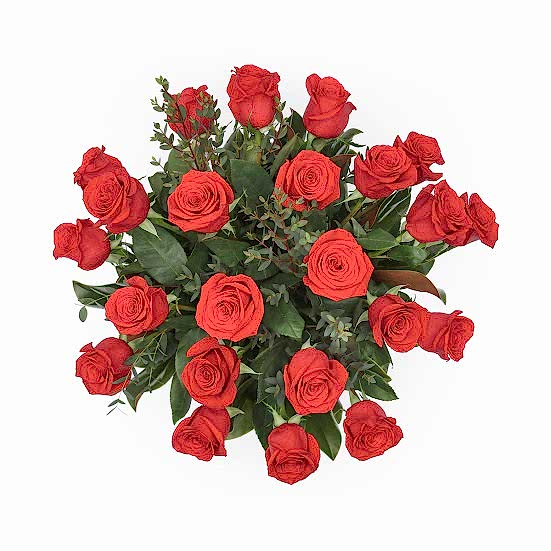 2-Dozen Elegant Roses + Sweetheart Plant Roses