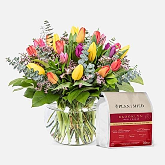 Multicolor Tulip Garden + PlantShed Coffee Coffee