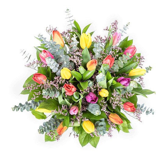 Multicolor Tulip Garden  Best Sellers