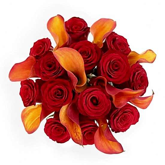 Chelsea  Valentine's Day