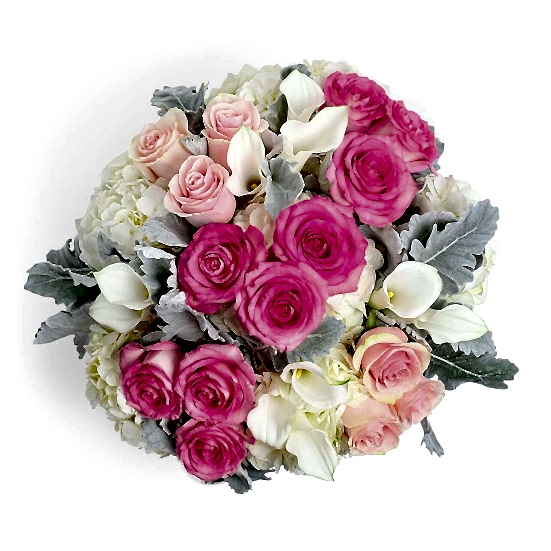 Flamingos & Doves + Sydney Hale Candle Hydrangeas