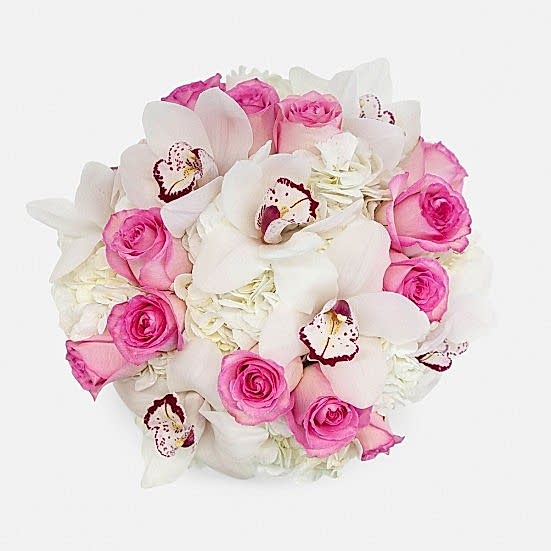 Pretty Woman Hydrangeas