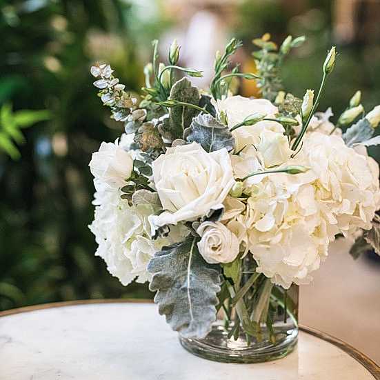 Emily + Apotheke Bundle Lisianthus
