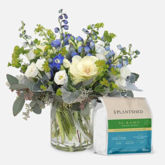 Blue Diamonds + PlantShed Coffee Lisianthus