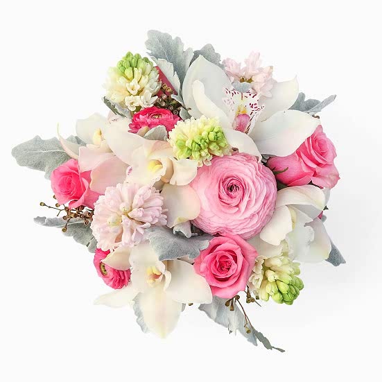Smitten Orchids