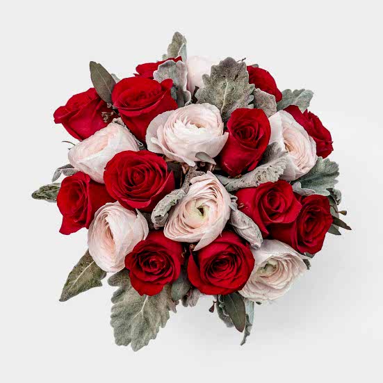 Maraschino Ranunculus