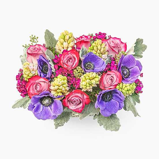 Zinfandel Flowers