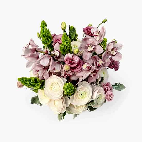 Für Elise Luxury Collection