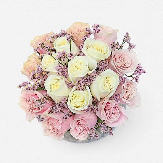 Pristine Just Roses