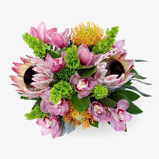 Hawaiian Hues Proteas