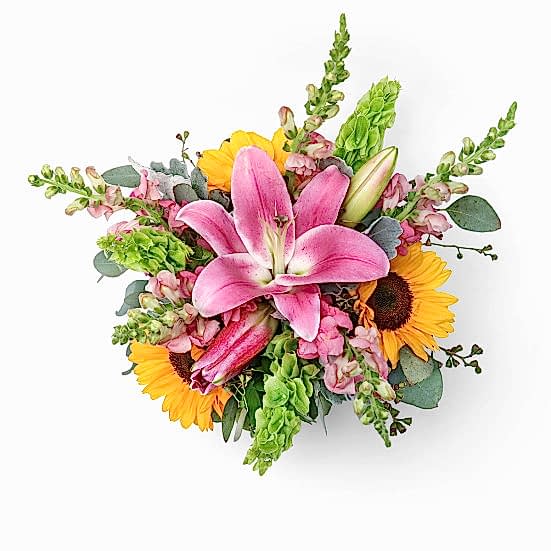 Sweet Season + Apotheke Diffuser Specials