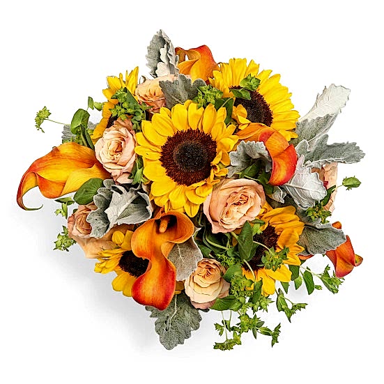 Fire Island + Sydney Hale Candle  Sunflowers