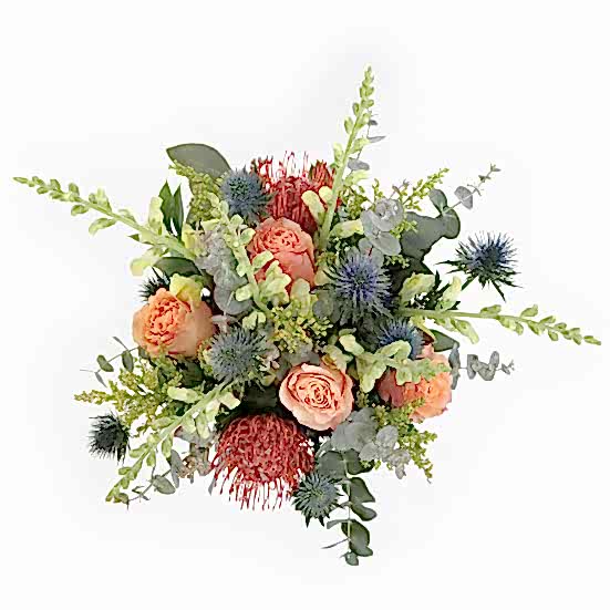 Sun & Sea + Sydney Hale Candle Proteas