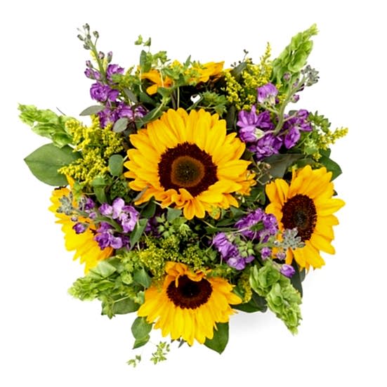 Sag Harbor Sunflowers