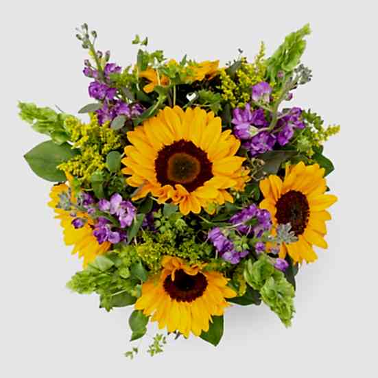 Sag Harbor + Sydney Hale Candle  Sunflowers